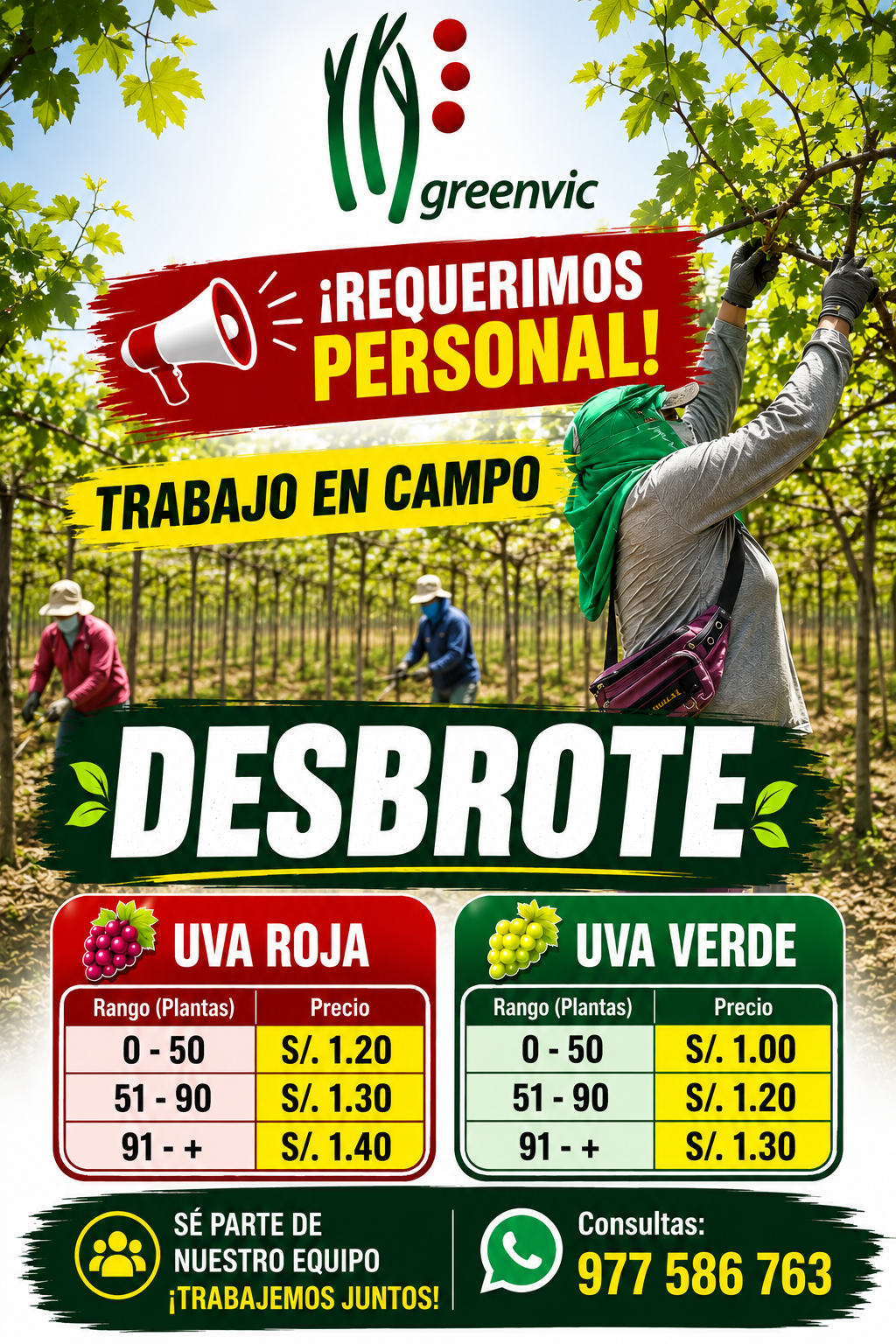 Publicidad 1